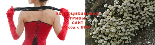 эйфоретик Надым