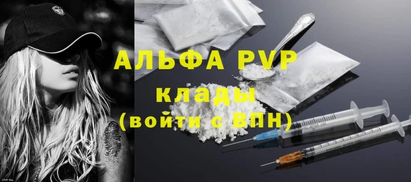 эйфоретик Надым