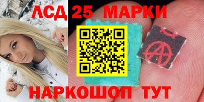 СК Дубна