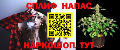 амф Донской