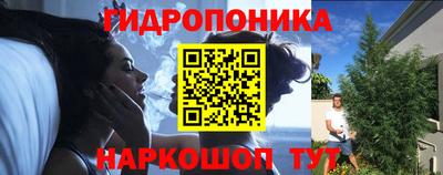 прущие крисы Абакан