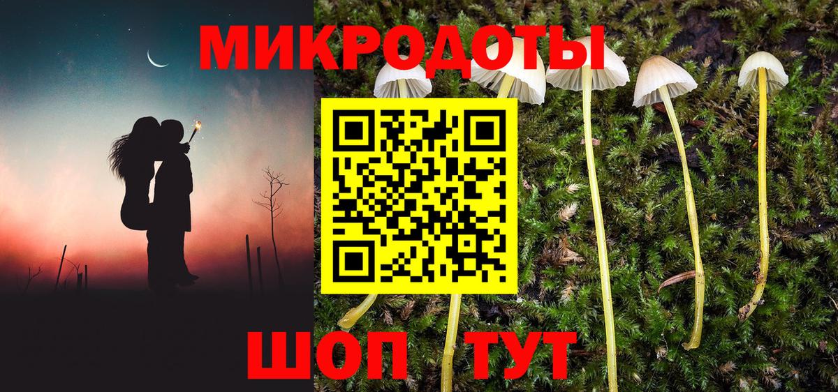 Галлюциногенные грибы мицелий  Вход с VPN  Чапаевск  Галлюциногенные грибы Magic Shrooms 