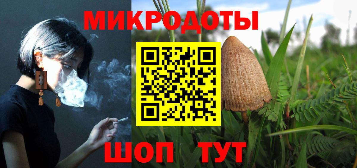 Галлюциногенные грибы Psilocybe  Галлюциногенные грибы MAGIC MUSHROOMS  купить закладку  Чапаевск 