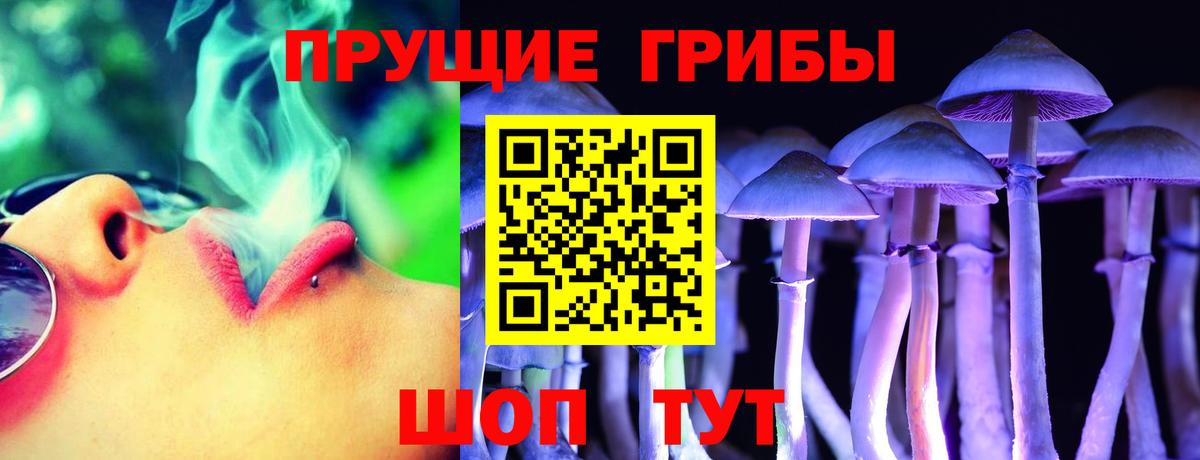 Галлюциногенные грибы Cubensis Чапаевск